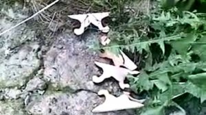 Прорезная резьба  по дереву