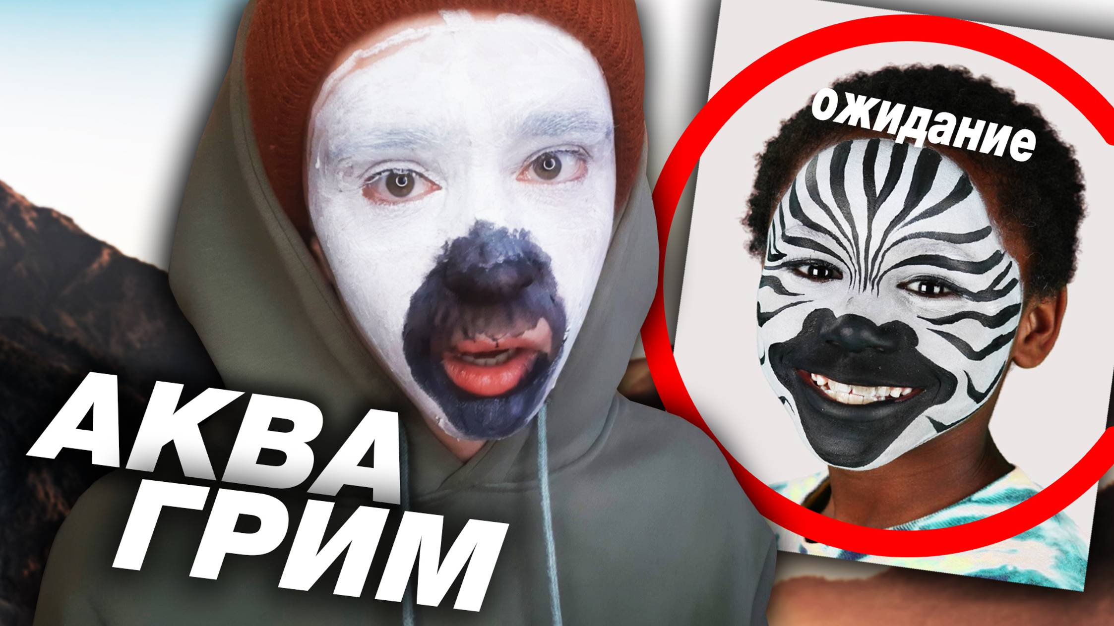 АКРИЛ ЗЕБРА ДОМА