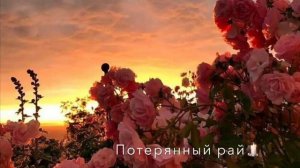 Далёко-далёко ты ангел мой 👼🏻