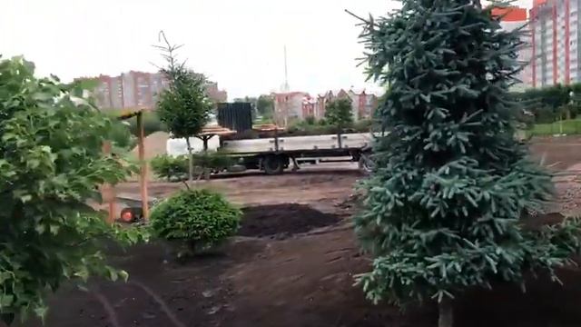 Озеленения и благоустройство территории