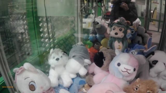 Играю в новый автомат-хватайку и выигрываю моржа!