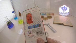 Томат Спрут F1. СеДеК