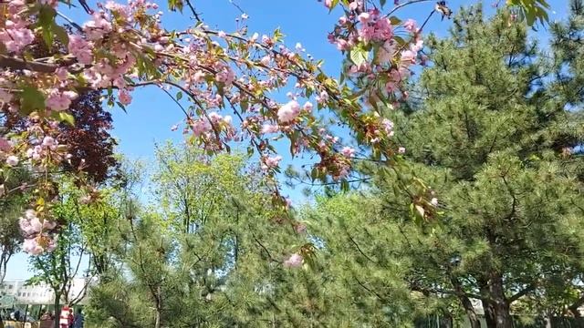 2 июня праздник. День ФАЛАЛЕЯ. Что нельзя делать. Народные традиции. Праздник сегодня!