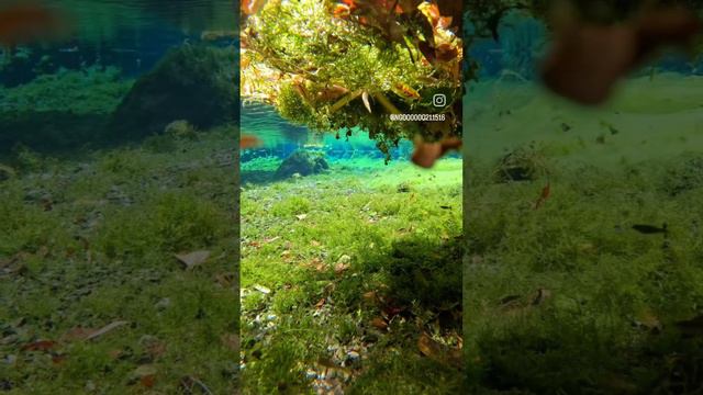 National geographic 2 смотреть онлайн