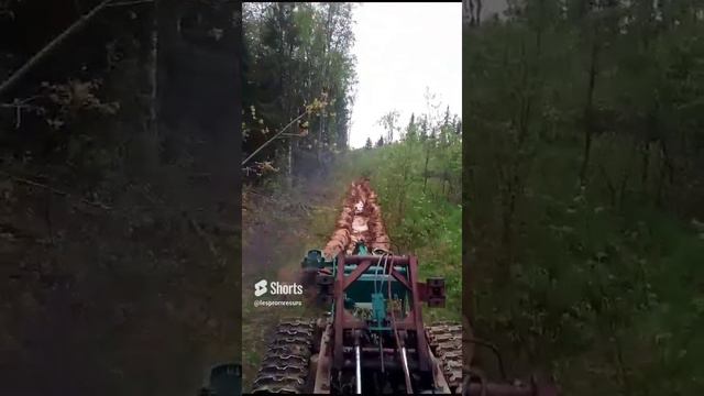 Противопожарные мин полосы плугом ПЛ-1 Леспромресурс на тракторе ТДТ-55 смотреть онлайн