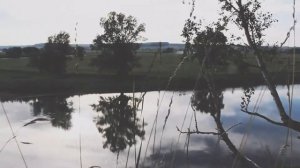 Мимо текла,текла река