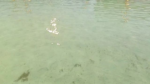 Откровение