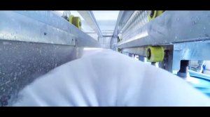 Стиральная машина для ковров, ковромойка, ковромоечная машина, стиралка для ковров EUROMAK