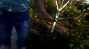 19. Сад Л.Чернобаева – дублёр сада В.Железова в 2017 г.  Любуемся на картины художника!.mp4