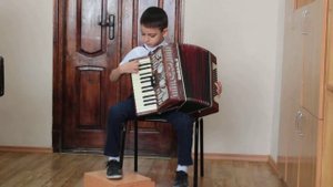 Барыня обр В Лушникова