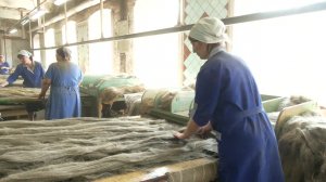 На Новой костромской льняной мануфактуре сегодня большие соревнования