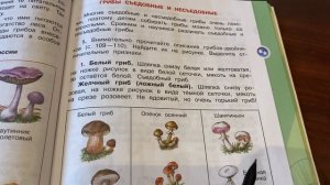 Окружающий мир/3 кл/Часть 1/ Плешаков/Тема: В царстве грибов/21.11.21