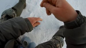 Рыбалка на гирлянду.  Техника и тактика ловли синца.