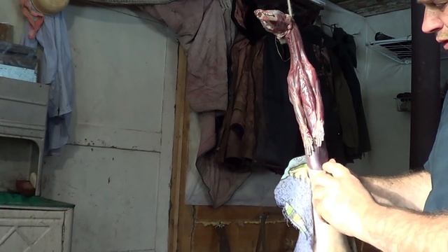 Как снять шкурку с соболя, ПРОМЫСЕЛ, зимовье, 18+ смотреть онлайн