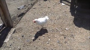 с. Турунтаево