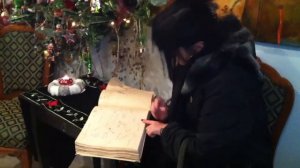 Новогодний привет из Венгрии