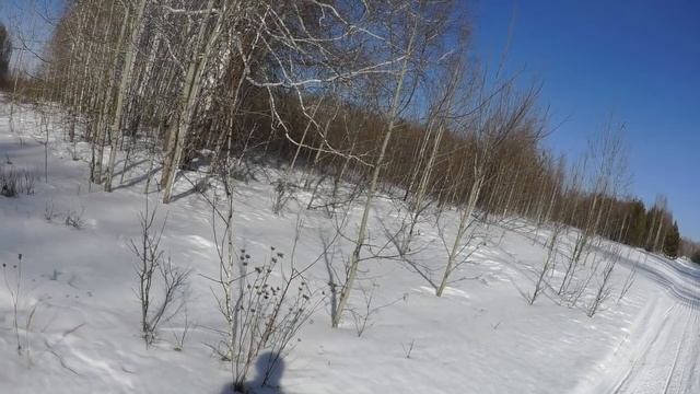 охота на косулю, на ловца и .... смотреть онлайн