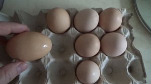 ДВА ЯЙЦА В ДЕНЬ - ЭТО РЕАЛЬНО! Чем кормить курей?  Двухжелтковые яйца