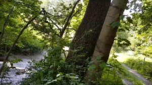 Suzuki DR 800 Big Offroad Adventure