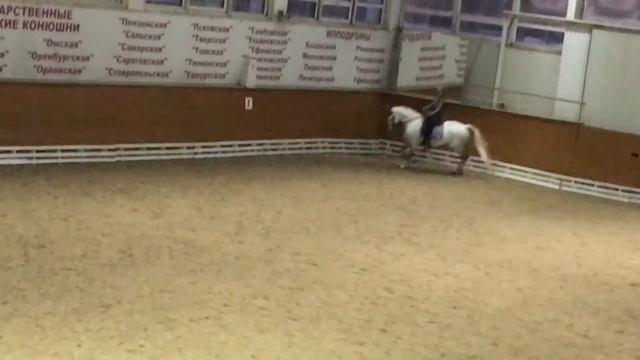 Рыцарь в доспехах смотреть онлайн