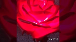 Ростовая роза, светильник.