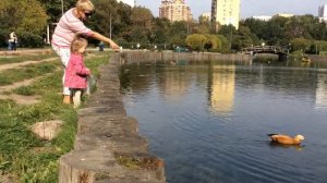 Парк "Дубки", жёлуди и утки - Москва, Тимирязевский район