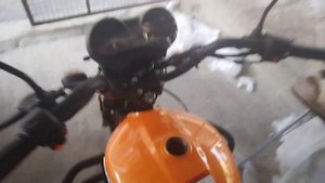 Купил себе новую Альфу. Пролог к обзору Racer Trophy RC110N. Первая заводка.