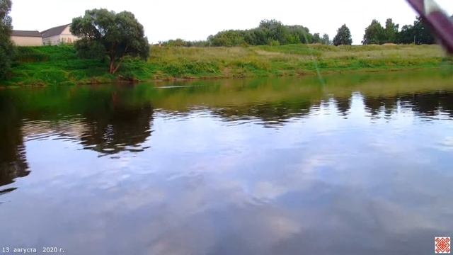 (56)  ОРША - ДНЕПР - СПИННИНГ - ВЕЧЕРНЯЯ  ЛОВЛЯ    ( 13  августа  2020 г. )