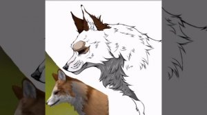 WildCraft арт лиса ?