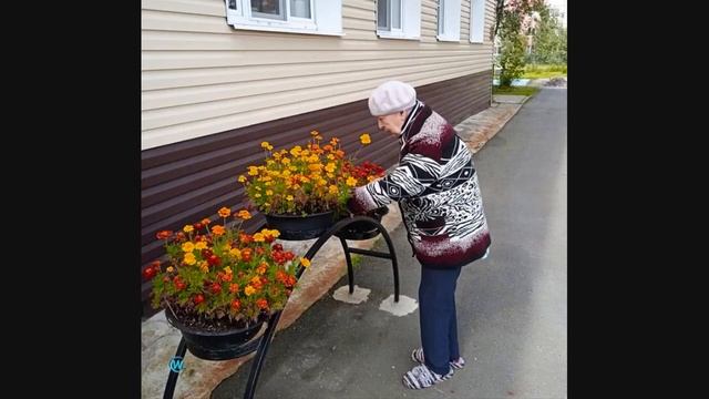МОГУТ ЛИ БЫТЬ СЧАСТЛИВЫ ПОЖИЛЫЕ В ДОМЕ ПРЕСТАРЕЛЫХ?