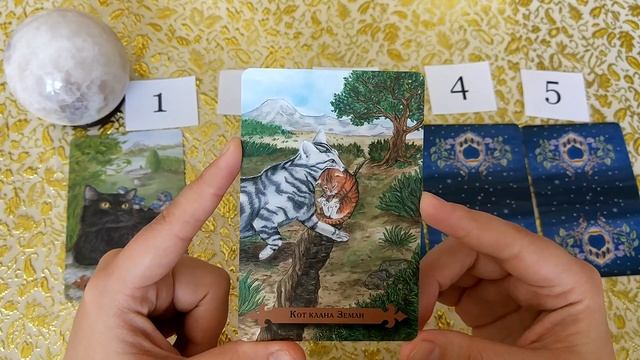 Встречу ли я свою судьбу этим летом? Общий расклад для всех. смотреть онлайн