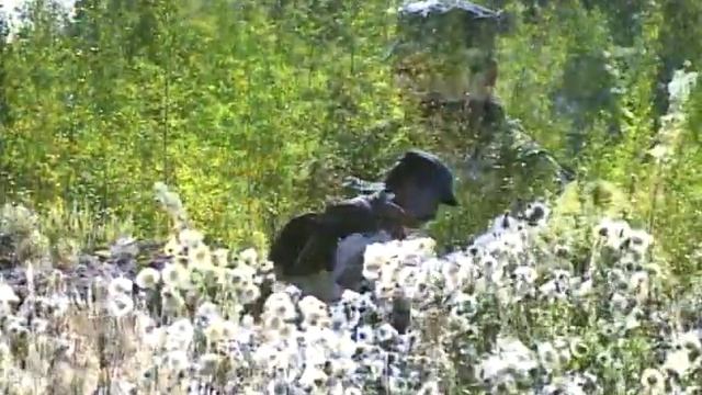 Авто портрет смотреть онлайн