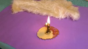 ЗАСТУПНИЧЕСТВО ВЫСШИХ СИЛ!