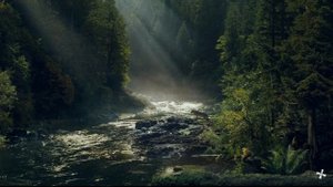 Прохождение Far Cry 5 на 100%. Страна вкуса. "Турбогриль". Регион Иакова. Горы Уайттейл.
