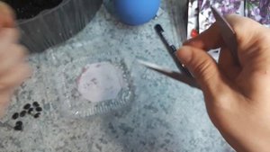 Вьющаяся сирень! Давайте это посадим! Часть 1