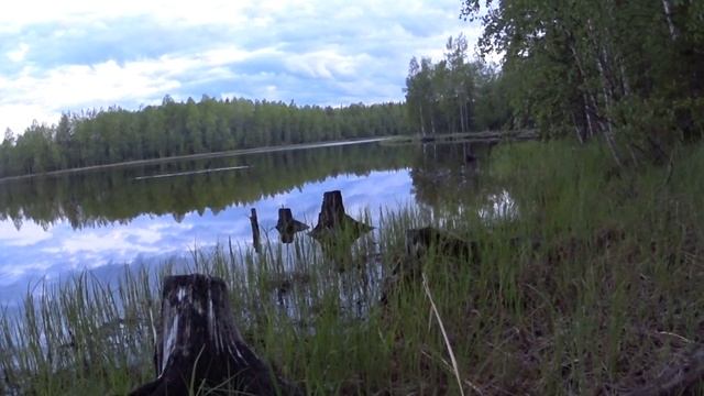 Рыбалка С КАПКАНАМИ НА ЩУК! смотреть онлайн