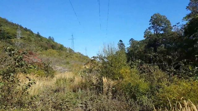 20151004_145715.mp4 смотреть онлайн