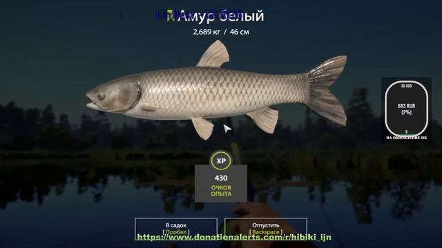 Стрим по Russian Fishing 4 #62 Куда поедем рыбачить??? смотреть онлайн