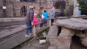 5 января 2024 г.(1)