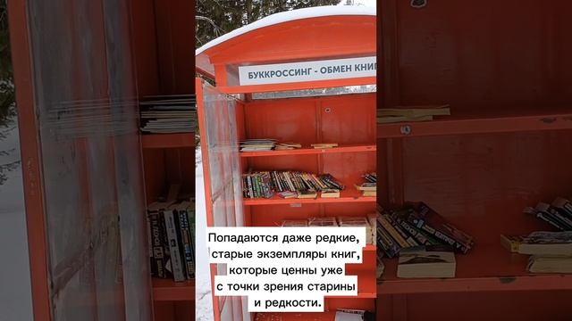 Партия «Новые Люди» развивает буккроссинг в Новосибирске