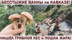 ?ГРИБНИК НАШЁЛ ГРИБНОЙ ЛЕС и ПОШЛА ЖАРА!?БЕЛЫЕ ГРИБЫ РАСТУТ ПОЛЯНАМИ!?БЕССТЫЖИЕ ВАННЫ на КАВКАЗЕ!