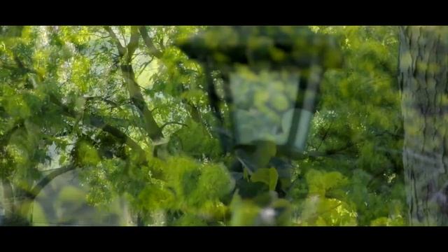 Canon 750D (Rebel T6i) Video Footage смотреть онлайн