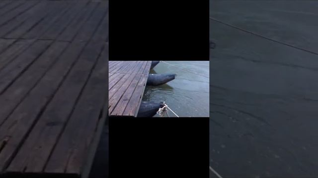 Таиланд, река Квай, ноябрь 2018. смотреть онлайн