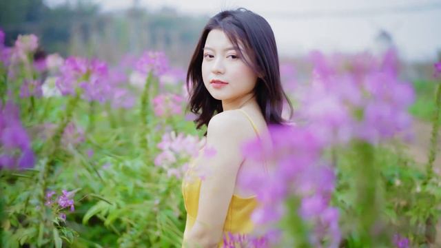 Can't Help Falling In Love Saxophone Mp3 Download 🎷Swing saxophone music 498 смотреть онлайн