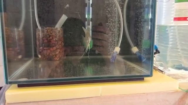 Наведение порядка в малявочнике. Планы на будущее. смотреть онлайн