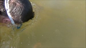 Путешествие на море и пляжный поиск 1я часть!