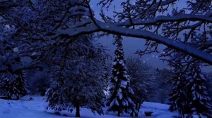 Звуки Метели и Пурги для Сна и Отдыха / Звуки Природы