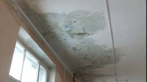 Из-за протекающей крыши ученики школы №8 Ярославля будут учиться в две смены