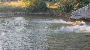 Черные воды Крыма!