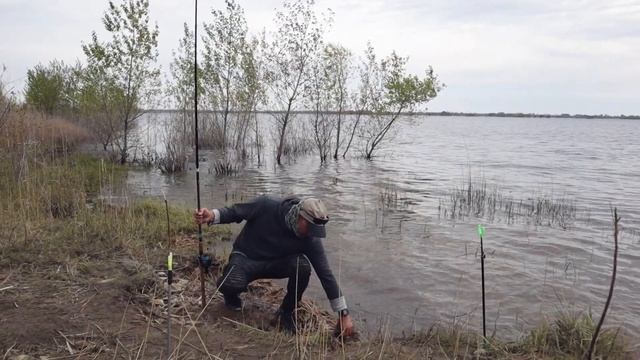КАРАСЬ МОНСТР НА ПОПЛАВОК не ЛОВИТСЯ. Рыбалка в половодье на Волге